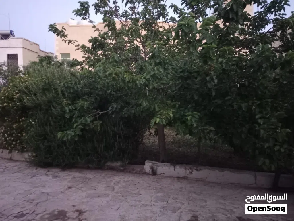 منزل للبيع في سلحوب قرب شارع الاردن