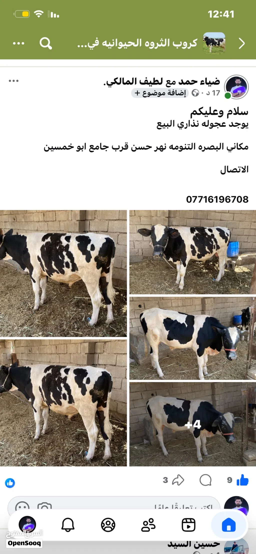 عجوله البيع ضحايه