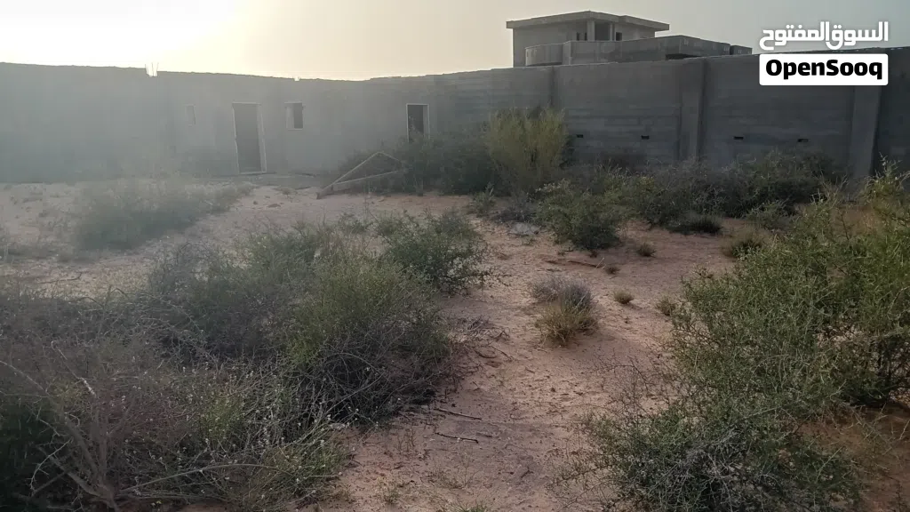 أرض في السواني
