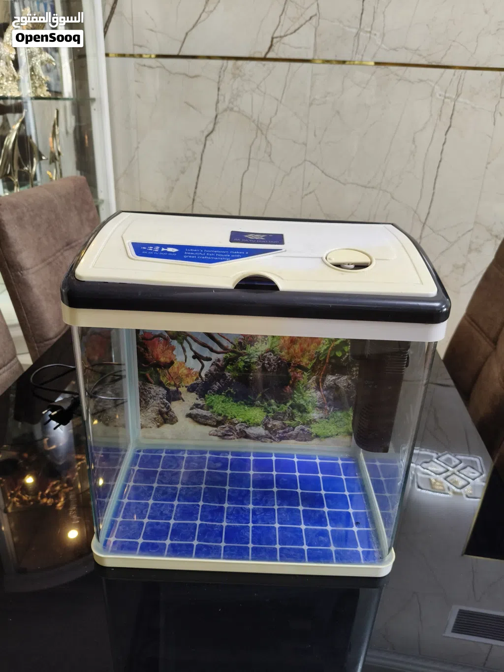 Small glass aquarium tank with lid and filter - ready to use