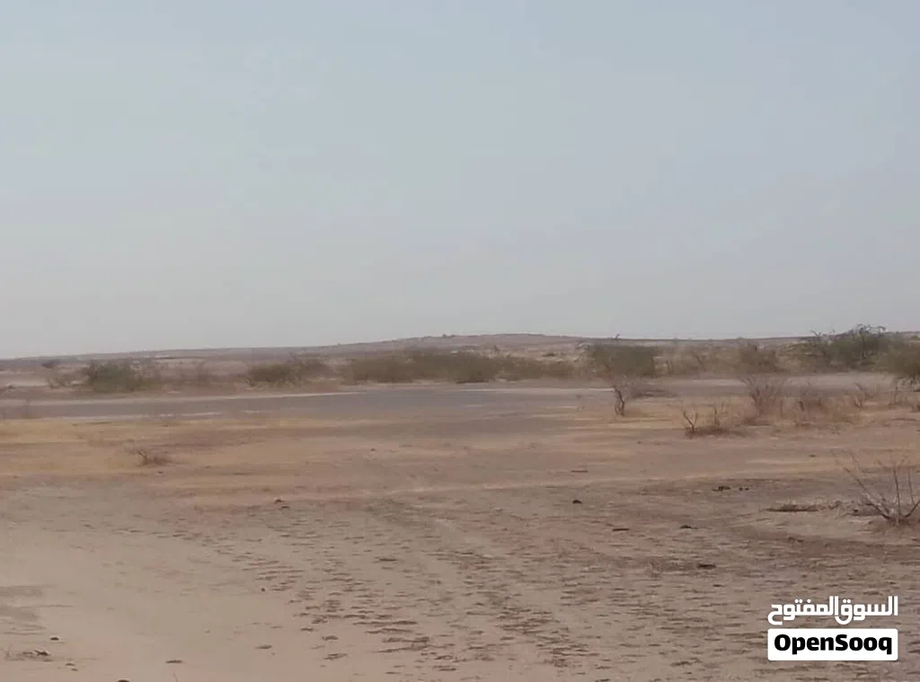 عرض حقيقي للناس الجادة بس