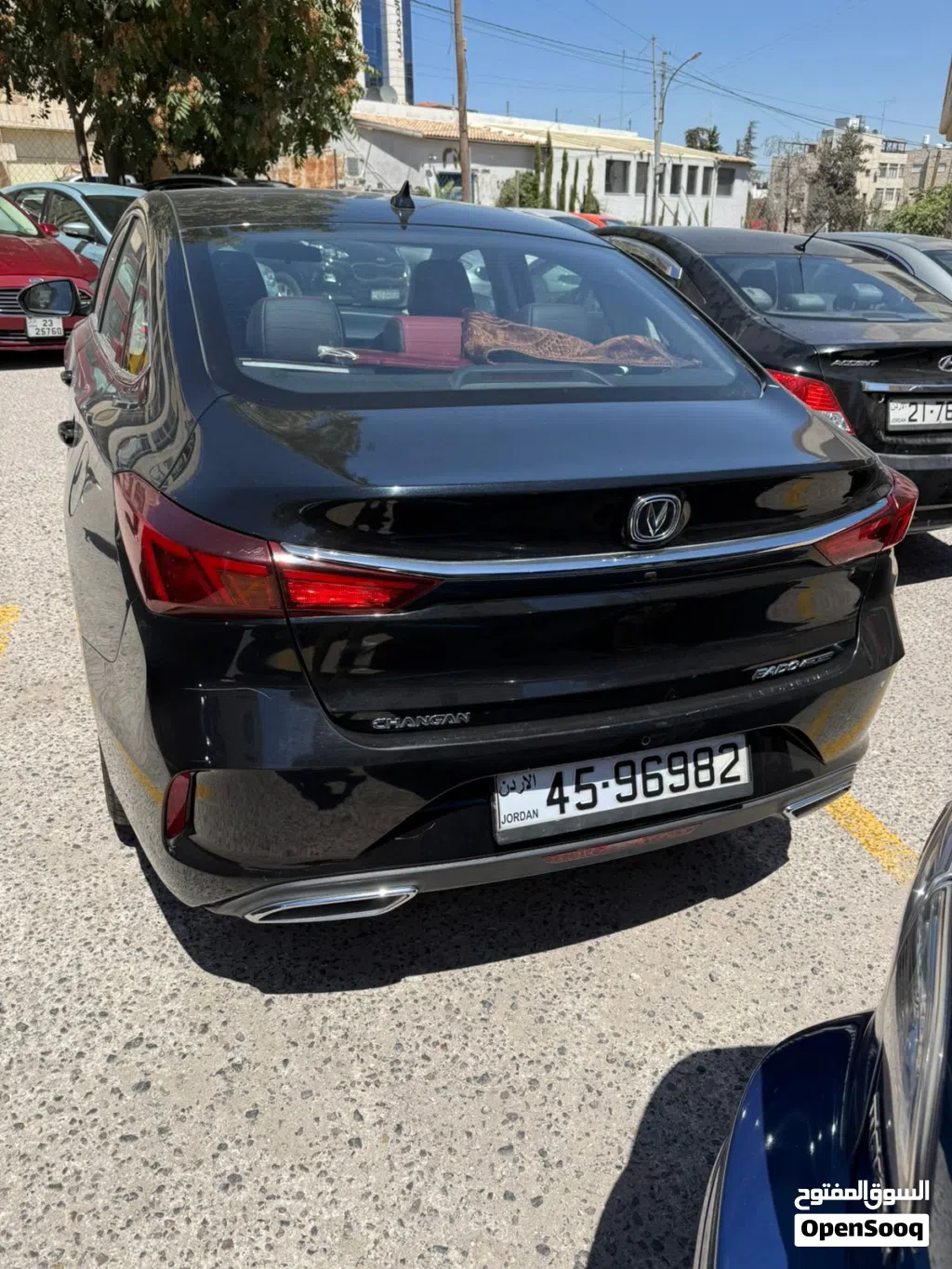 شانجان اخرى