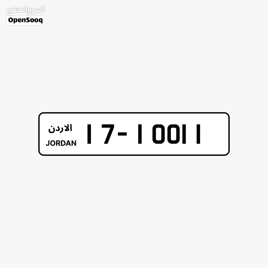 17 - 10011