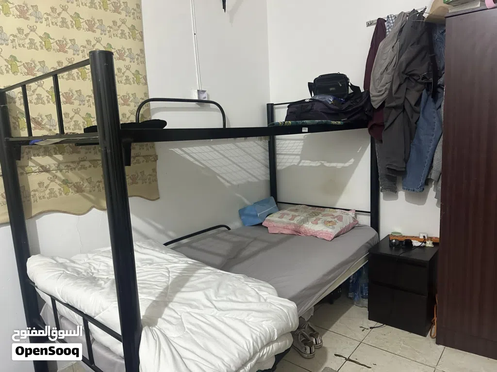 متاح مشاركه غرفه لمده شهرين بدايه من 25/6