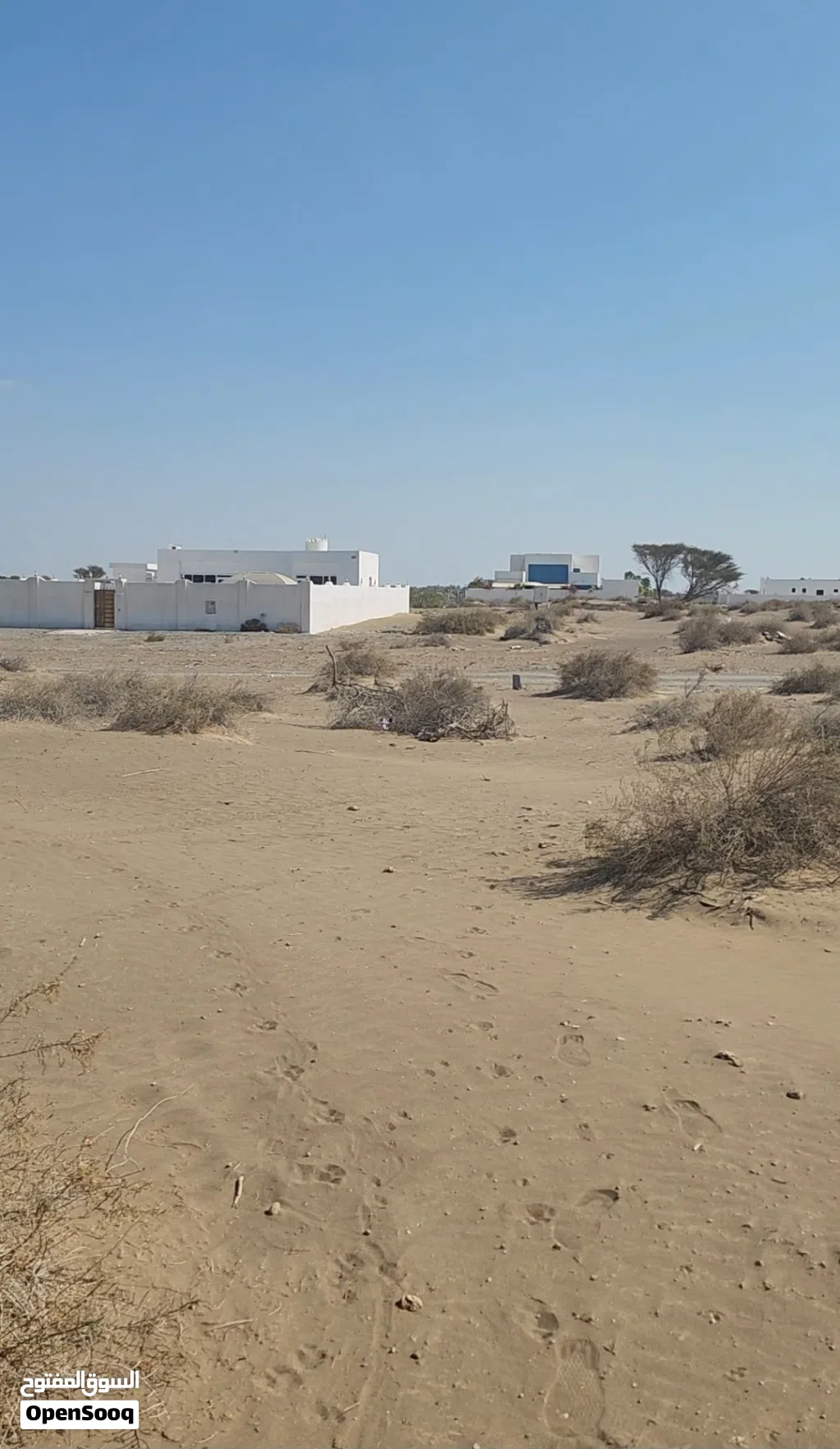 سكنيه بركاء السوادي جنوب قريب المنازل