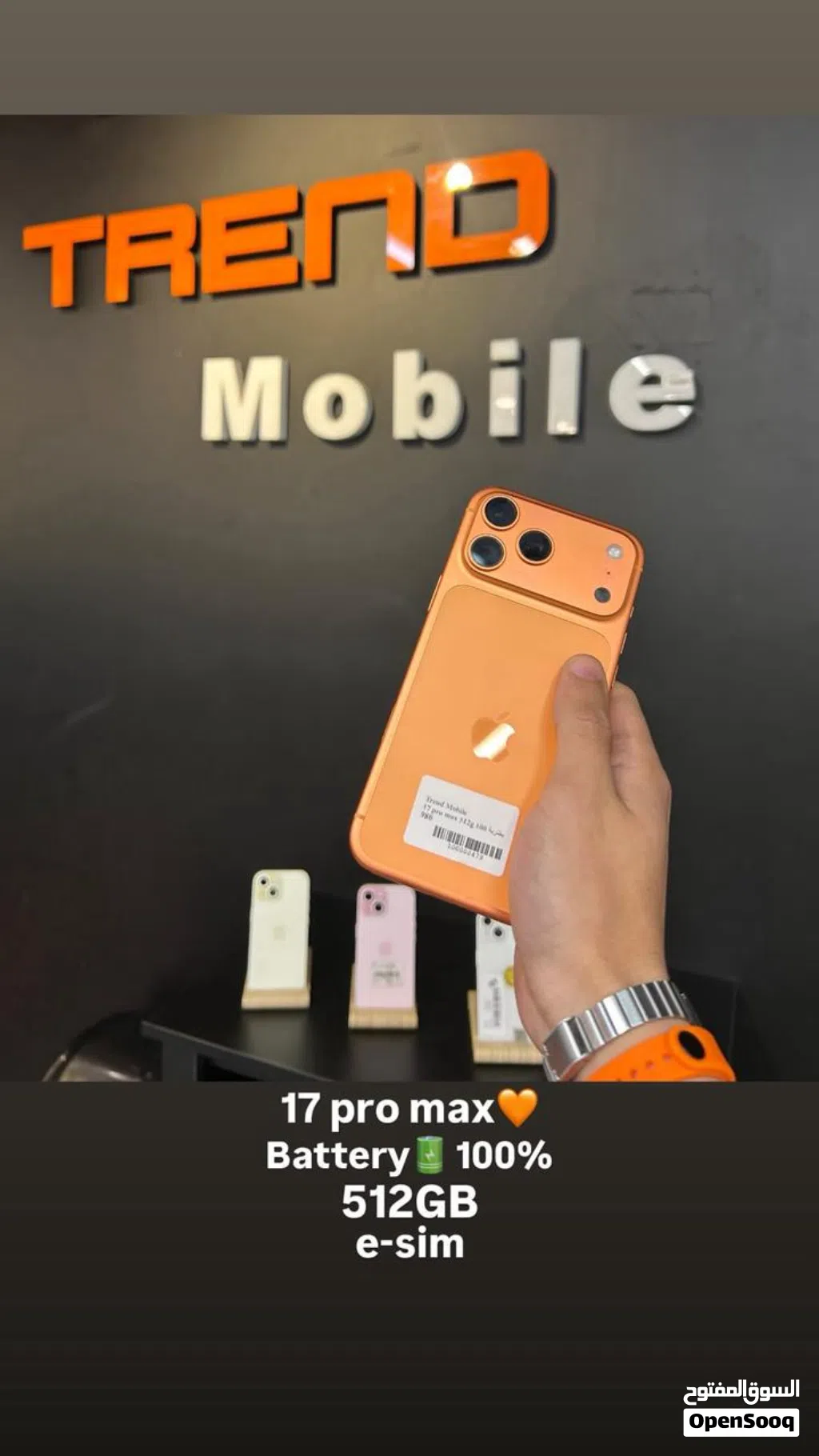 17 pro max esim