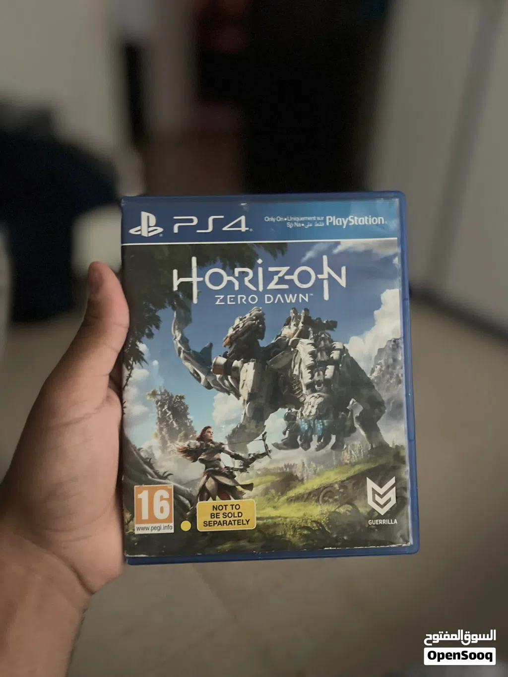 Cd horizon و drive club