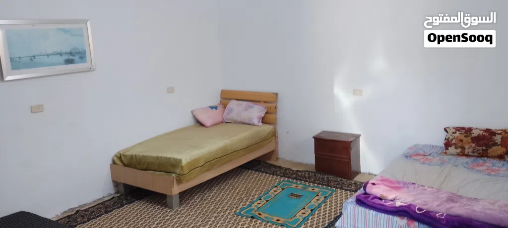 استوديو مفروش