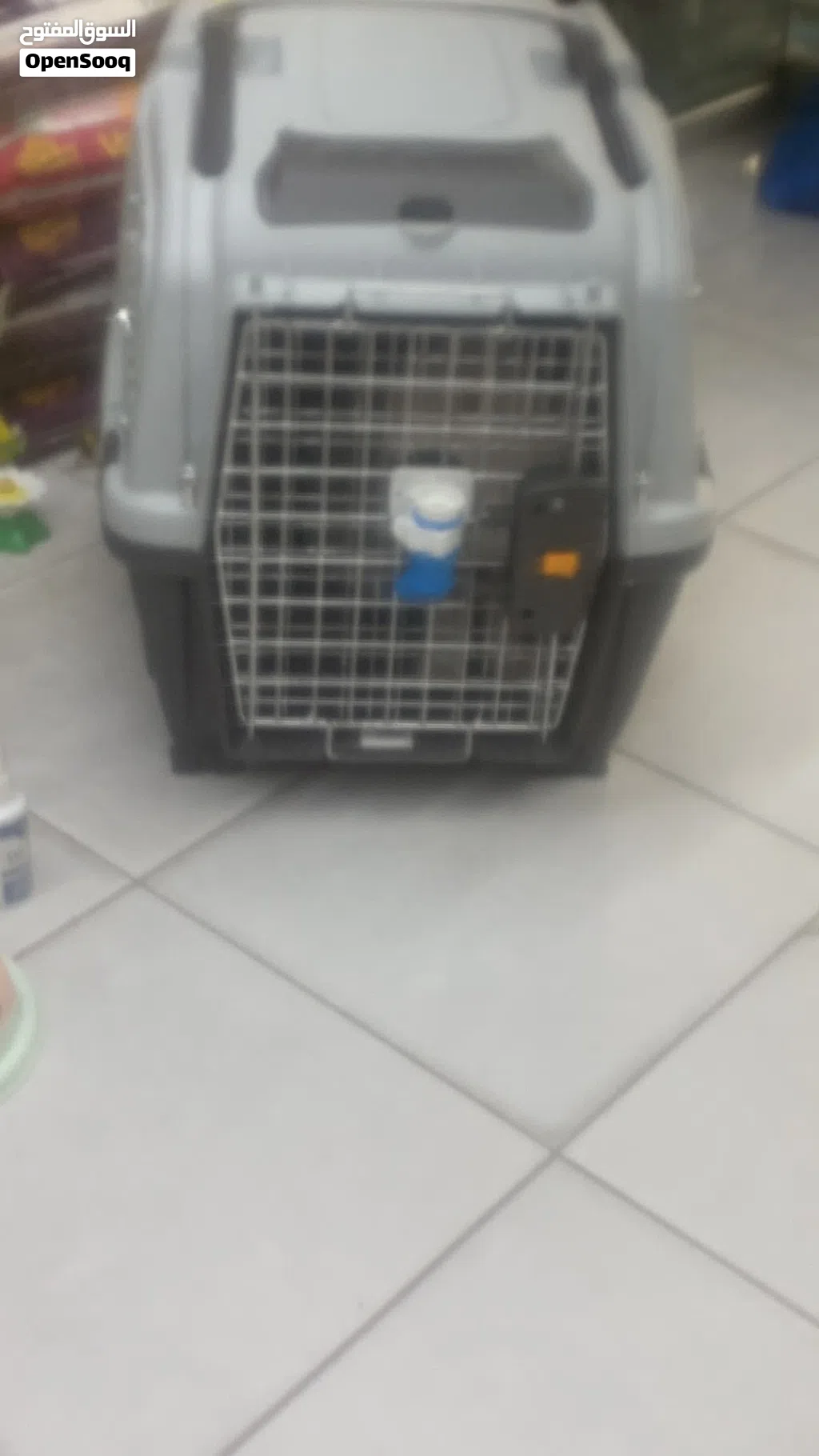 Cat and small dogs crate large IATA approved