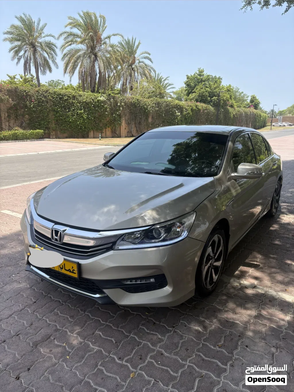 Honda Accord Limited