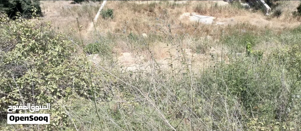 Land for Sale in Aabey – 730 m2 Scenic Mountain Views Road Access