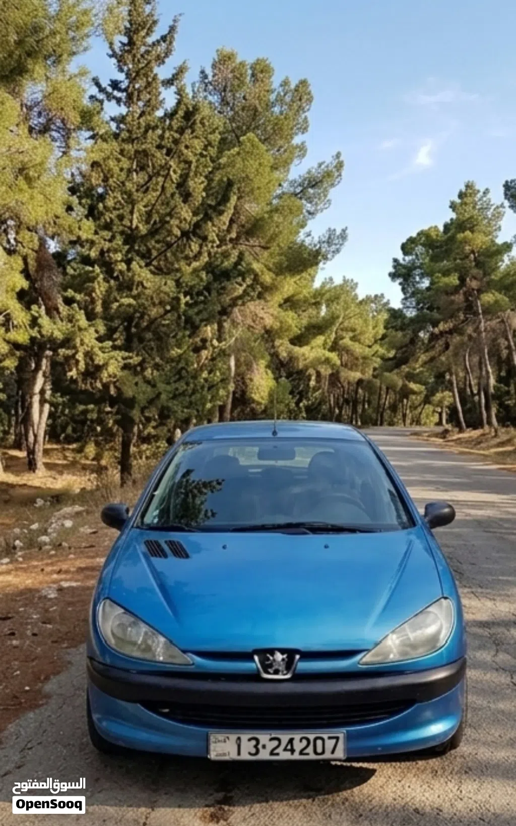 Peugeot 206 Standard