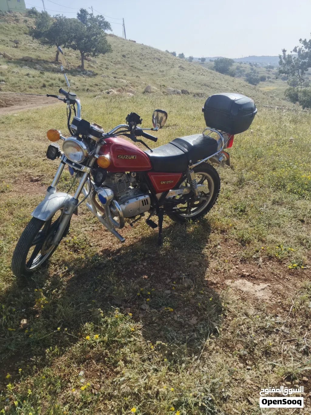 Suzuki Other