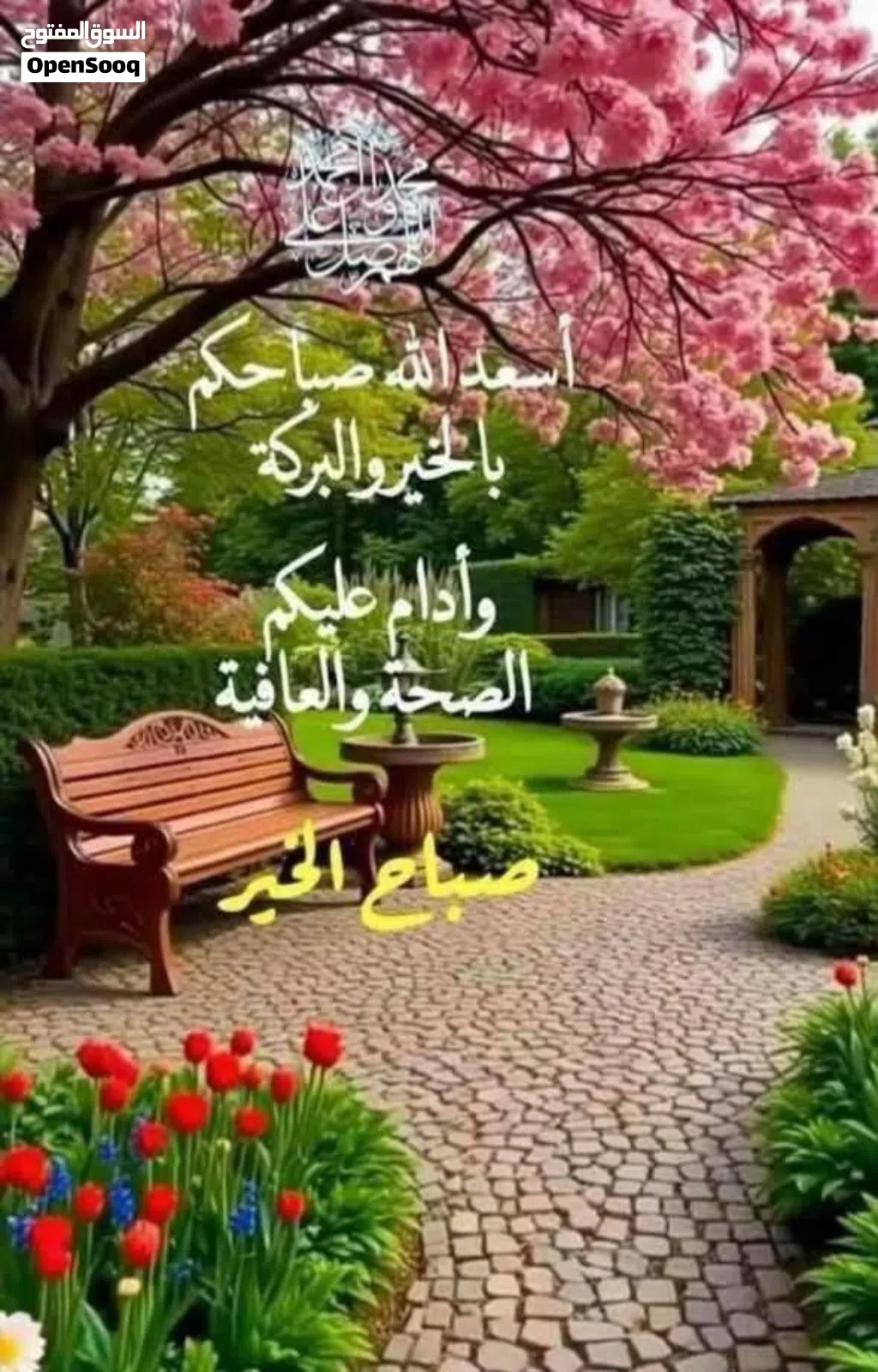 نحتاج نجار