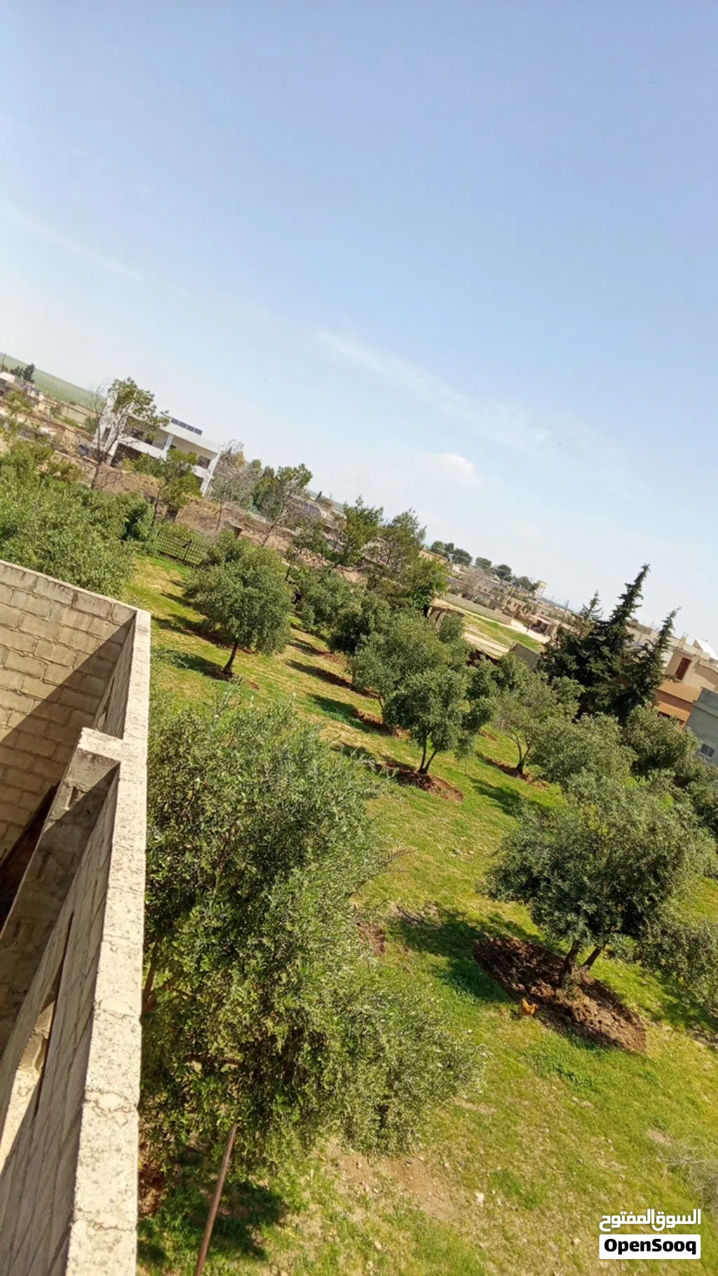 بيت وحديقة وطاحونه للبيع في حي القامشلي(جواديه)