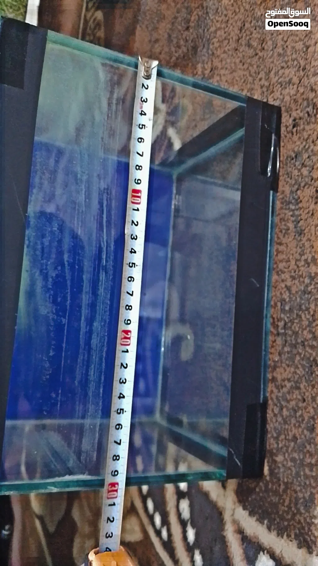 حوض سمك حجم متوسط