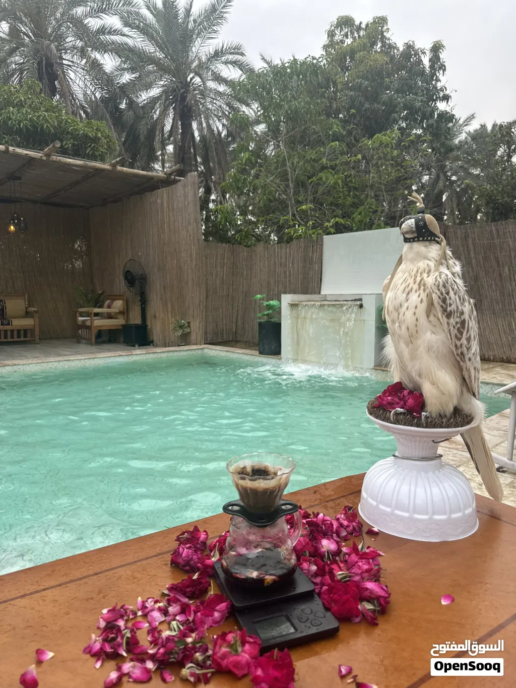 استراحة لليجار