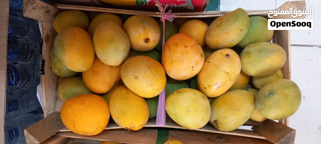 Mango Oman 6kg