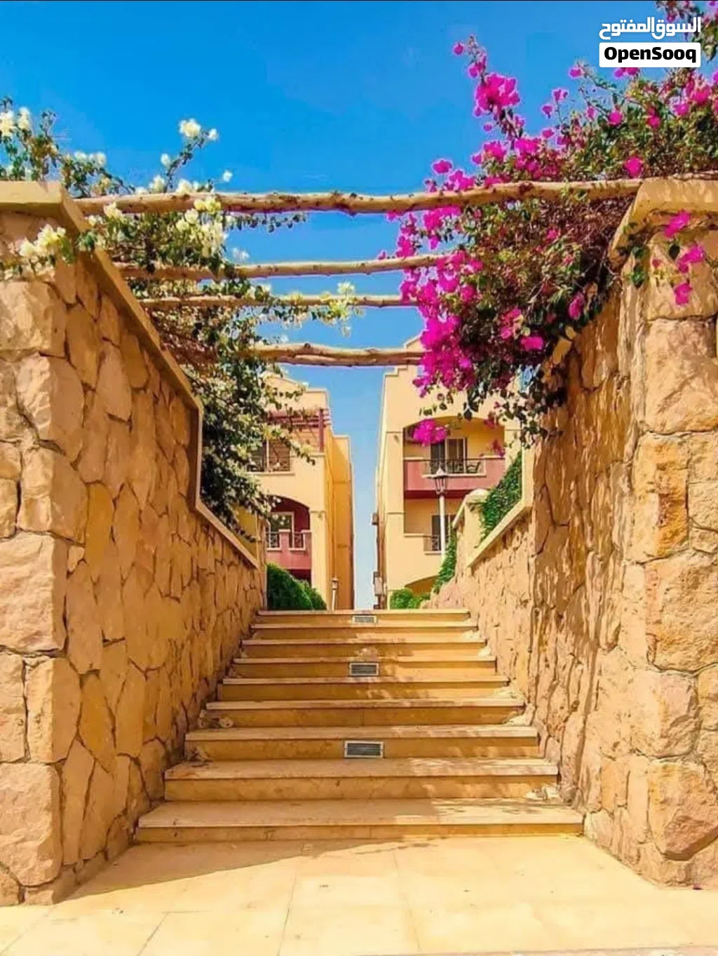 شاليهات العين السخنة