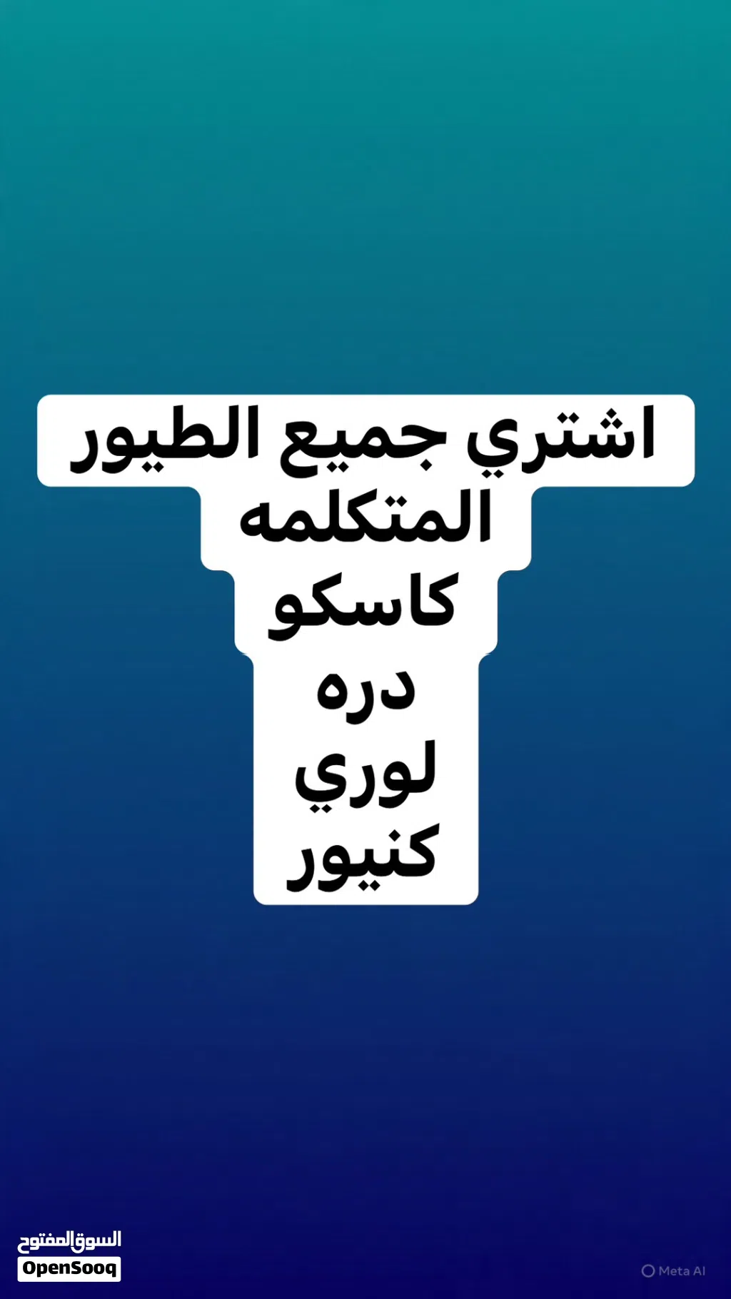 اشتري جميع الطيور المتكلمه الاليفه كاسكو دره كنيور