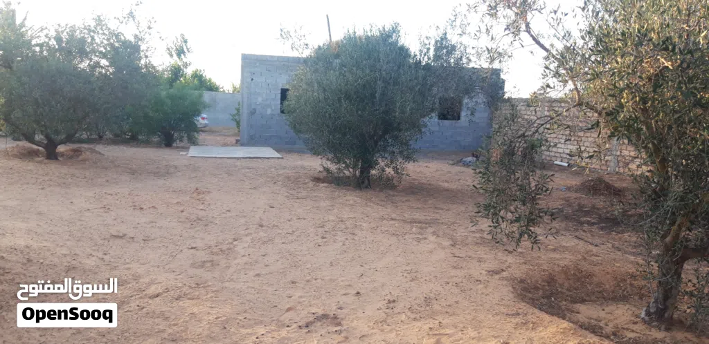 قطعة ارض مساحتها 1041 متر بعد متلت الكهرباء جنب مسجد الرحمة عاليسار اوراقها شهادة عقارية وحجة