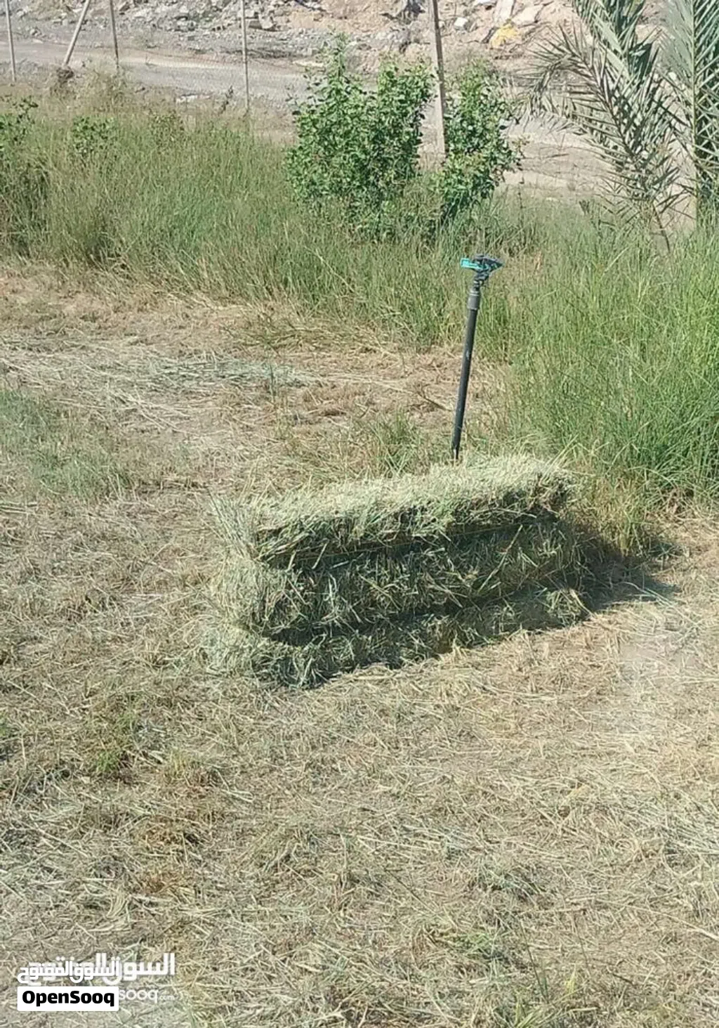 برايد لبيع نضيف وانتاج جديد