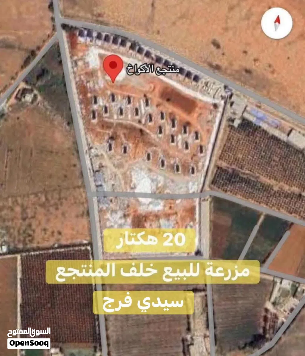 مزرعة للبيع في سيدي فرج خلف منتجع الأكواخ بالضبط