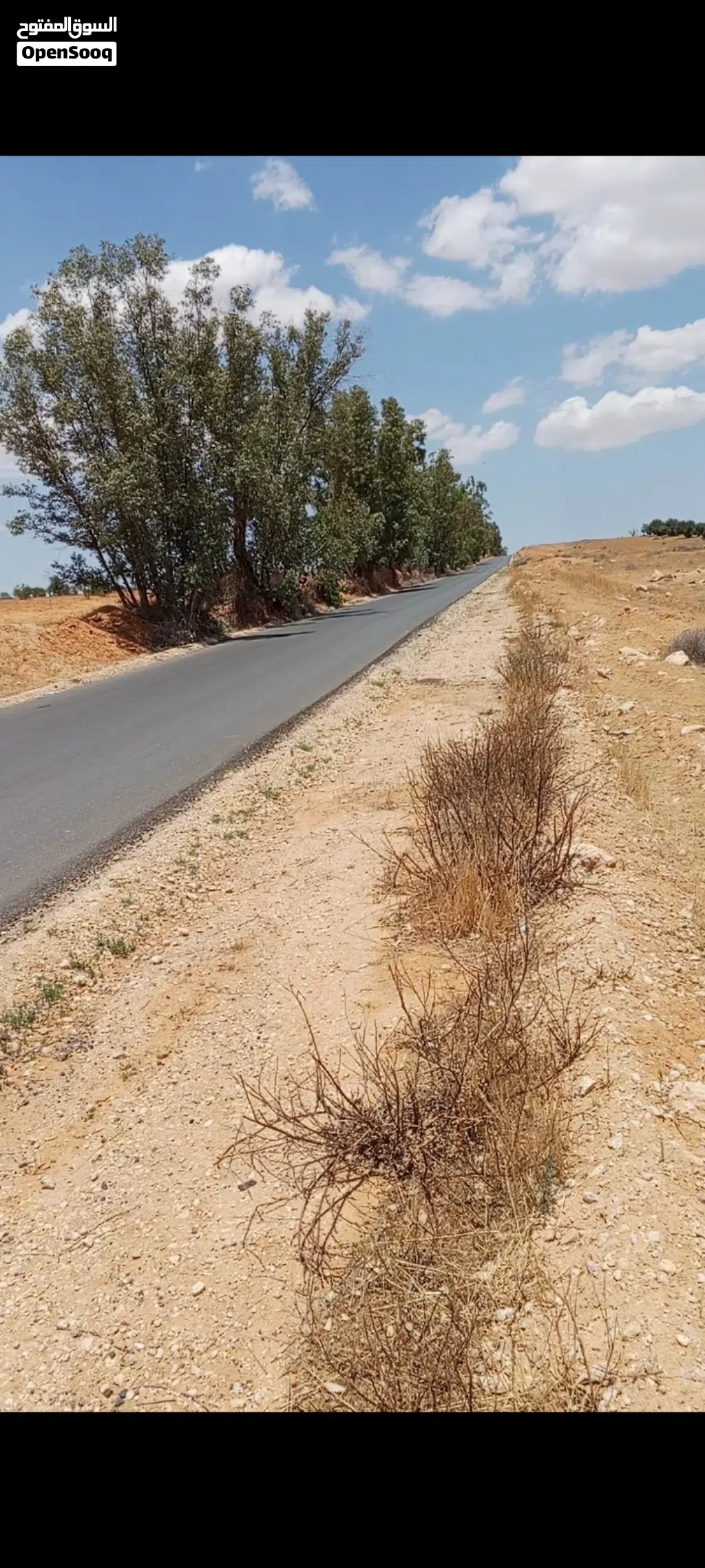 هكتار للبيع موقع مميز