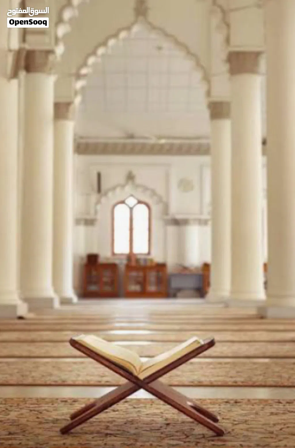 معلمة تحفيظ قرآن كريم أونلاين