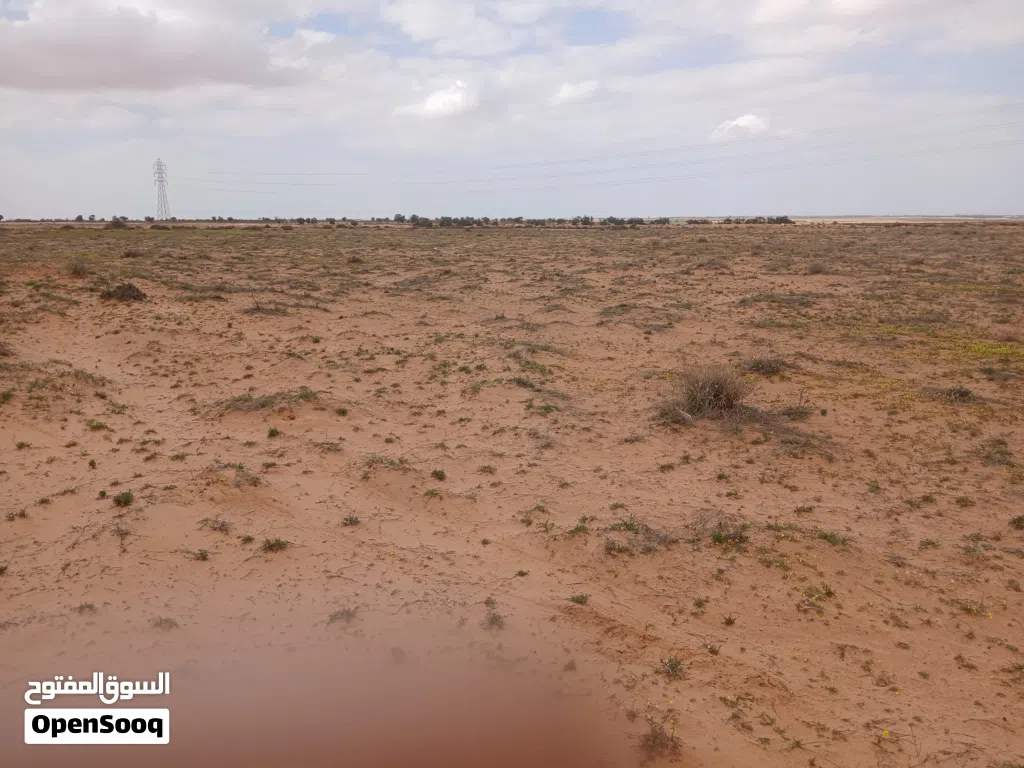 مطلوب قطعة للايجار