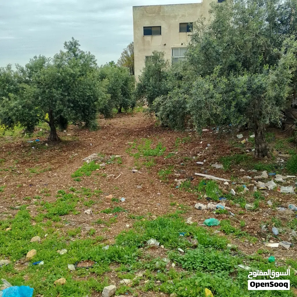 قطعة أرض في بشرى