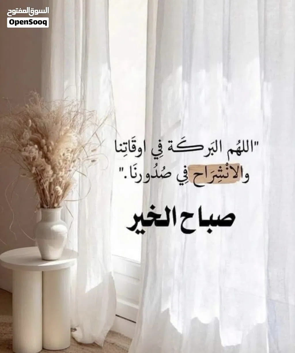 مكينه غسيل سجاد تركي موديل 2023