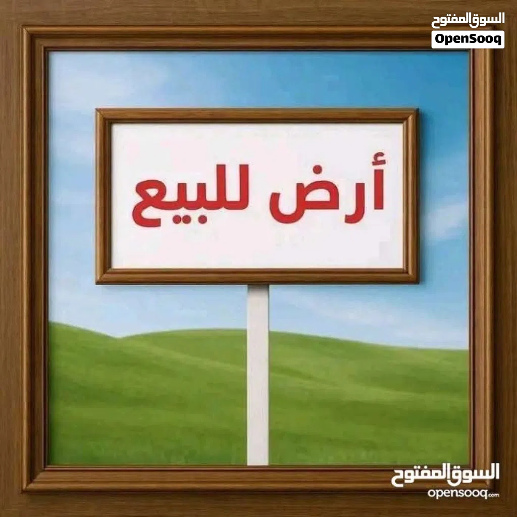 � أرض في بوهادي ع الرئيسي – للبيع مساحة: 3000 متر