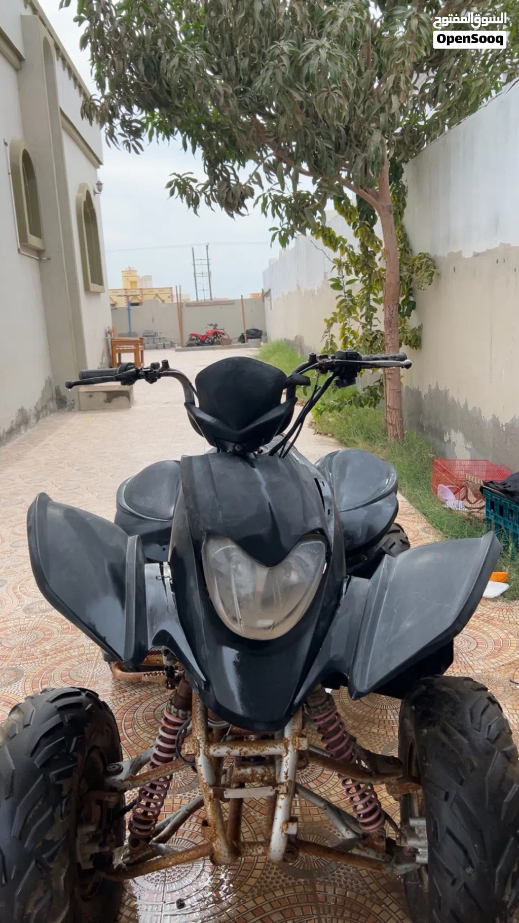 بانشي استعمال شهرين فقط