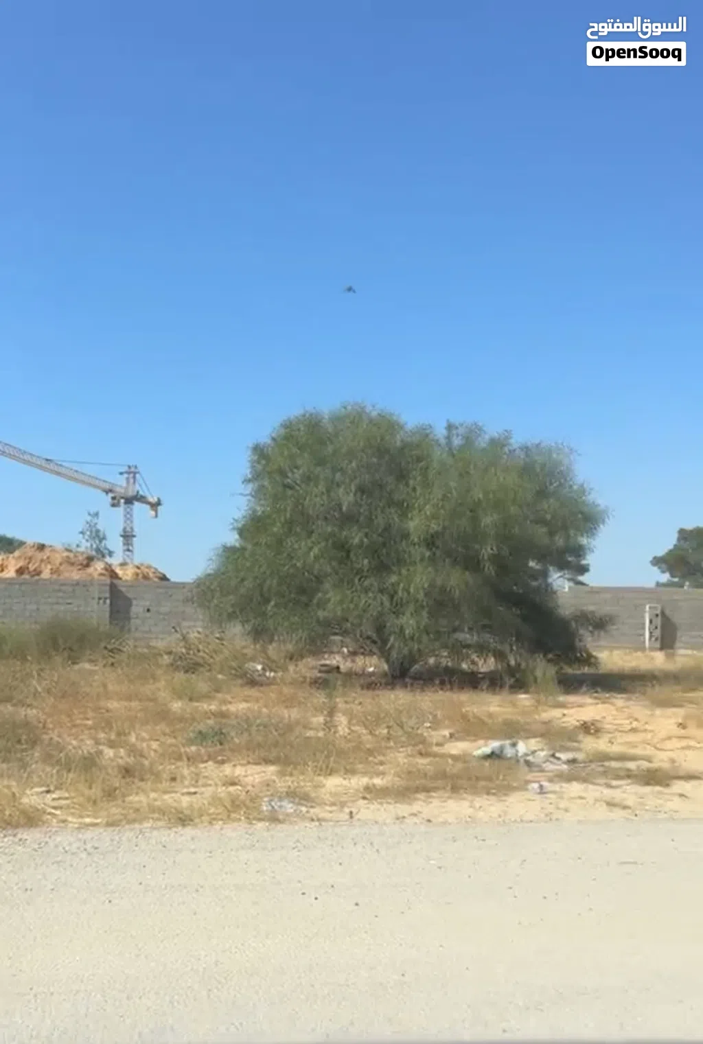 للبيع قطعة أرض مميزة في منطقة الجبس – مقابل شيل أحمد محمود