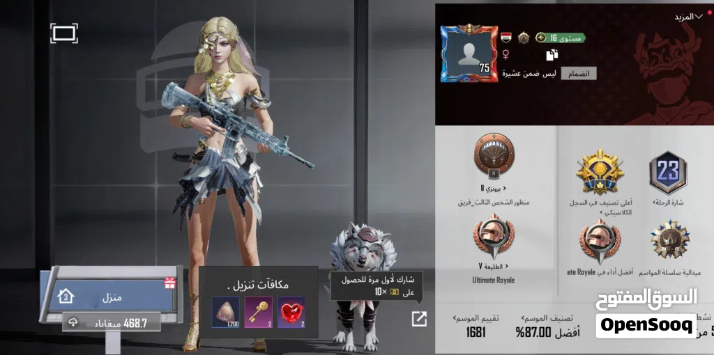 حساب ببجي