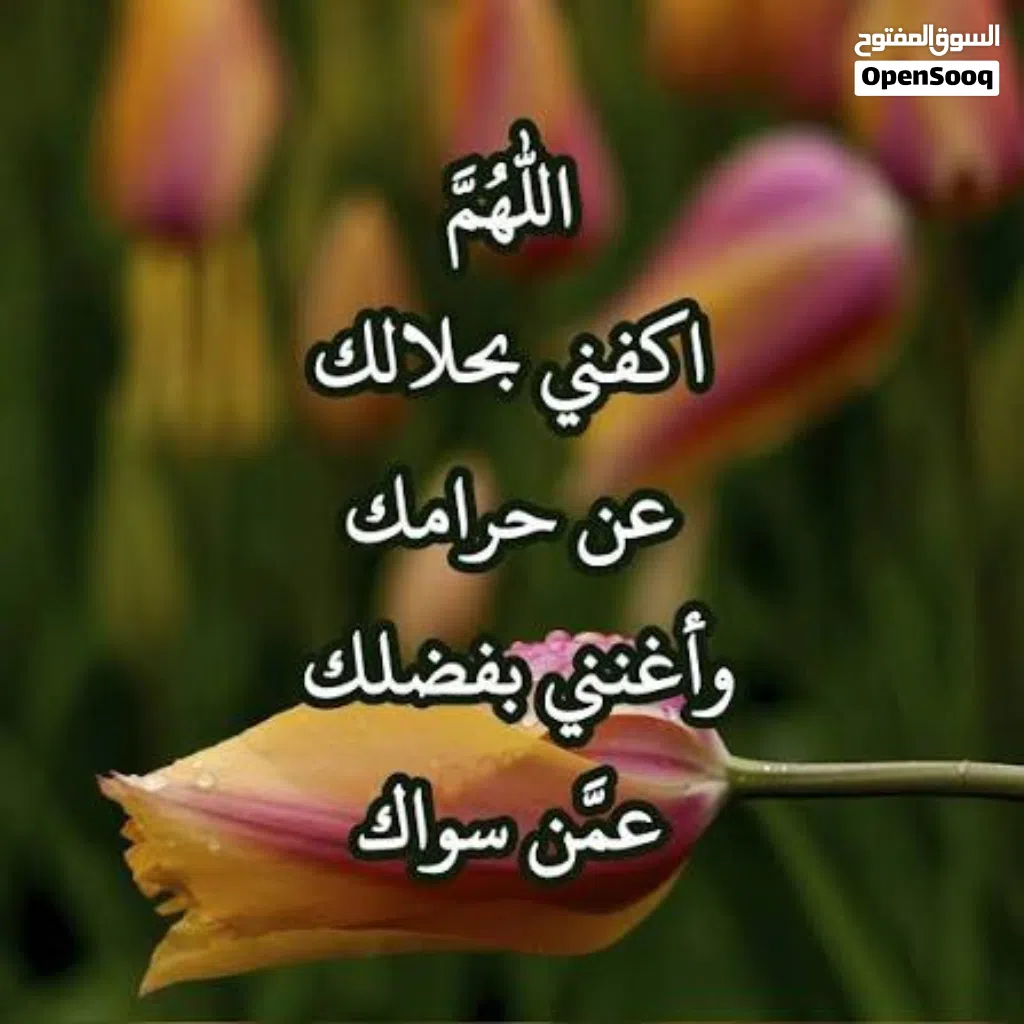 منزل الإيجار وقت لخريف شهرين ب2500