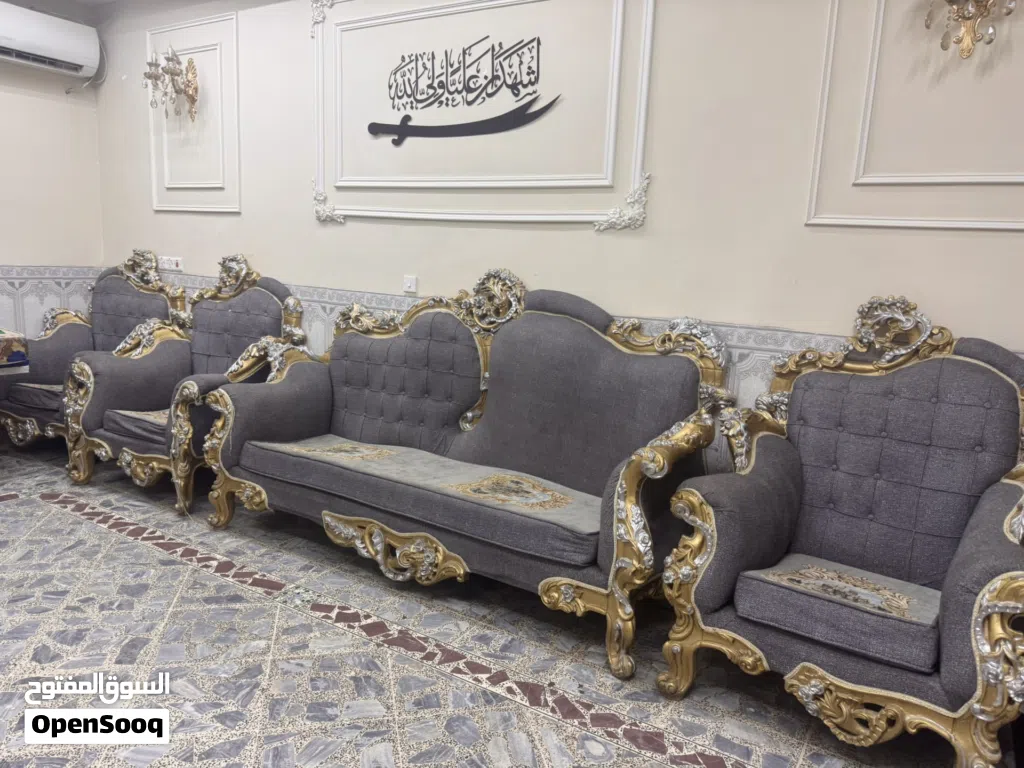 تخم زان مصري  درجه اوله