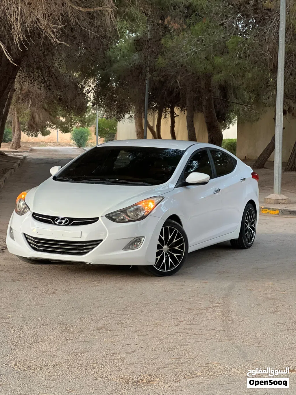 Hyundai Avante Standard