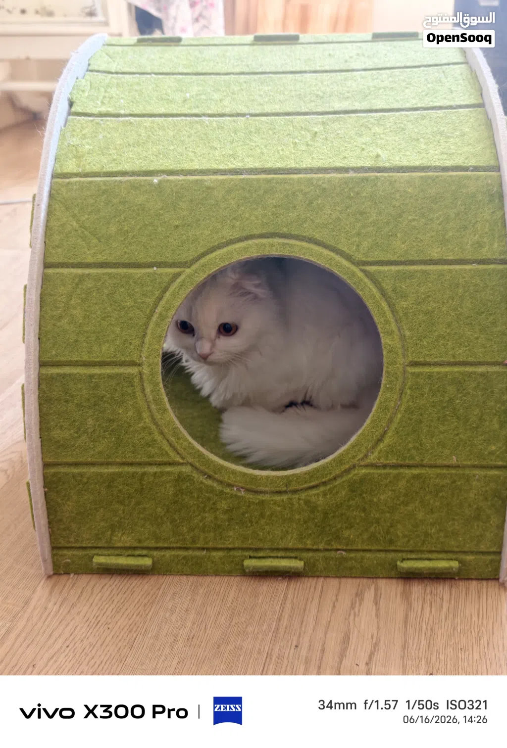 Cat house for sale