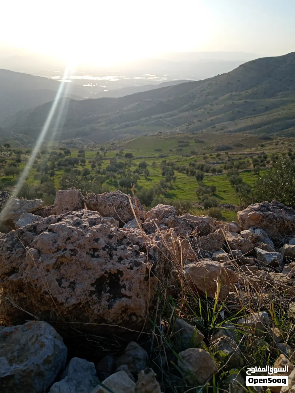 قطعة أرض مزرعه للبيع