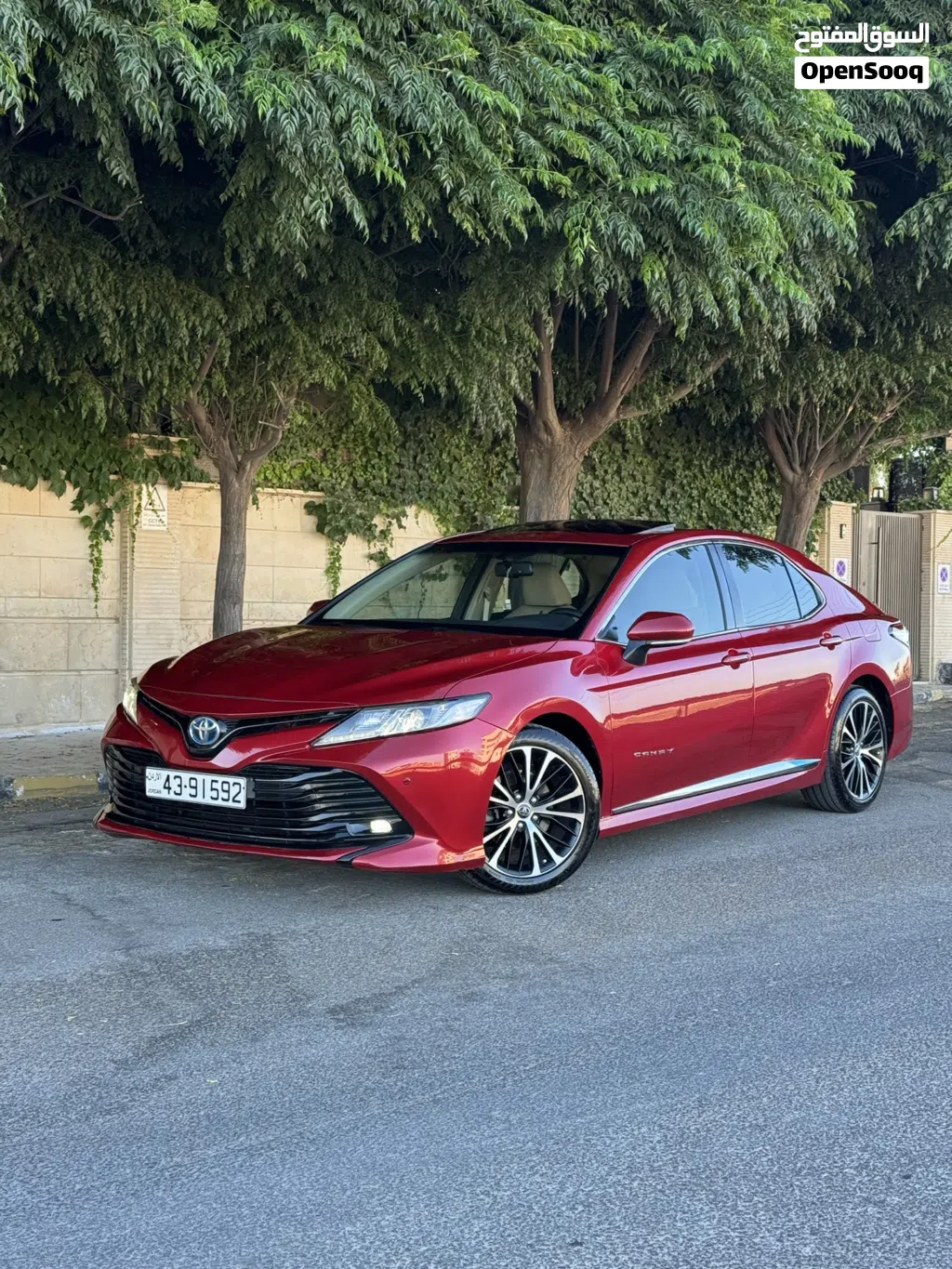 Toyota Camry XLE
