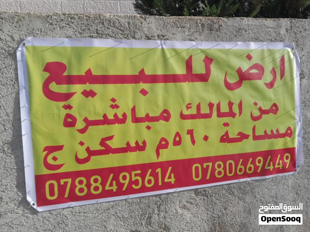 أرض للبيع جاوا سكن ج مساحة 559م