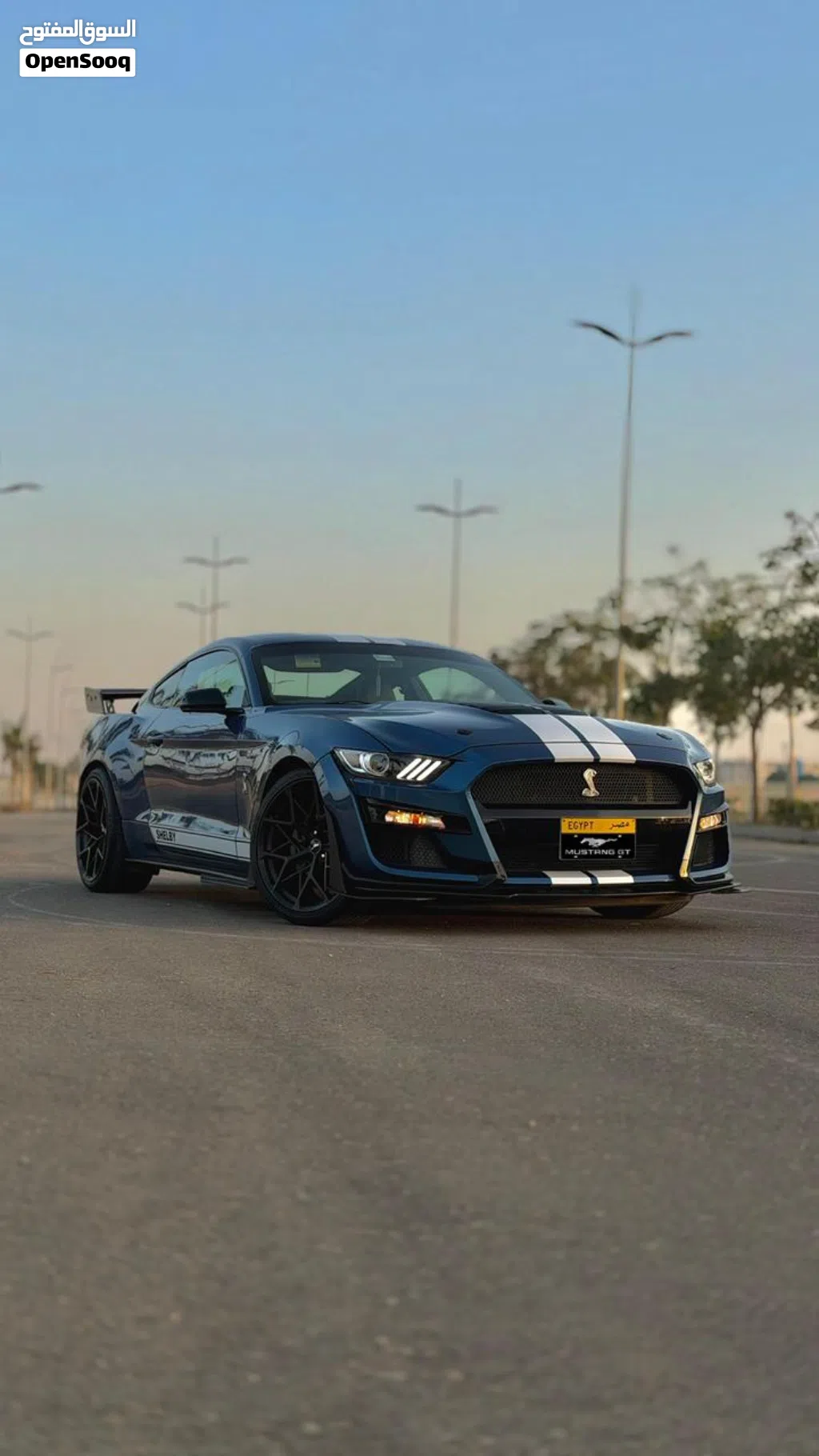 فورد موستانج Standard V6
