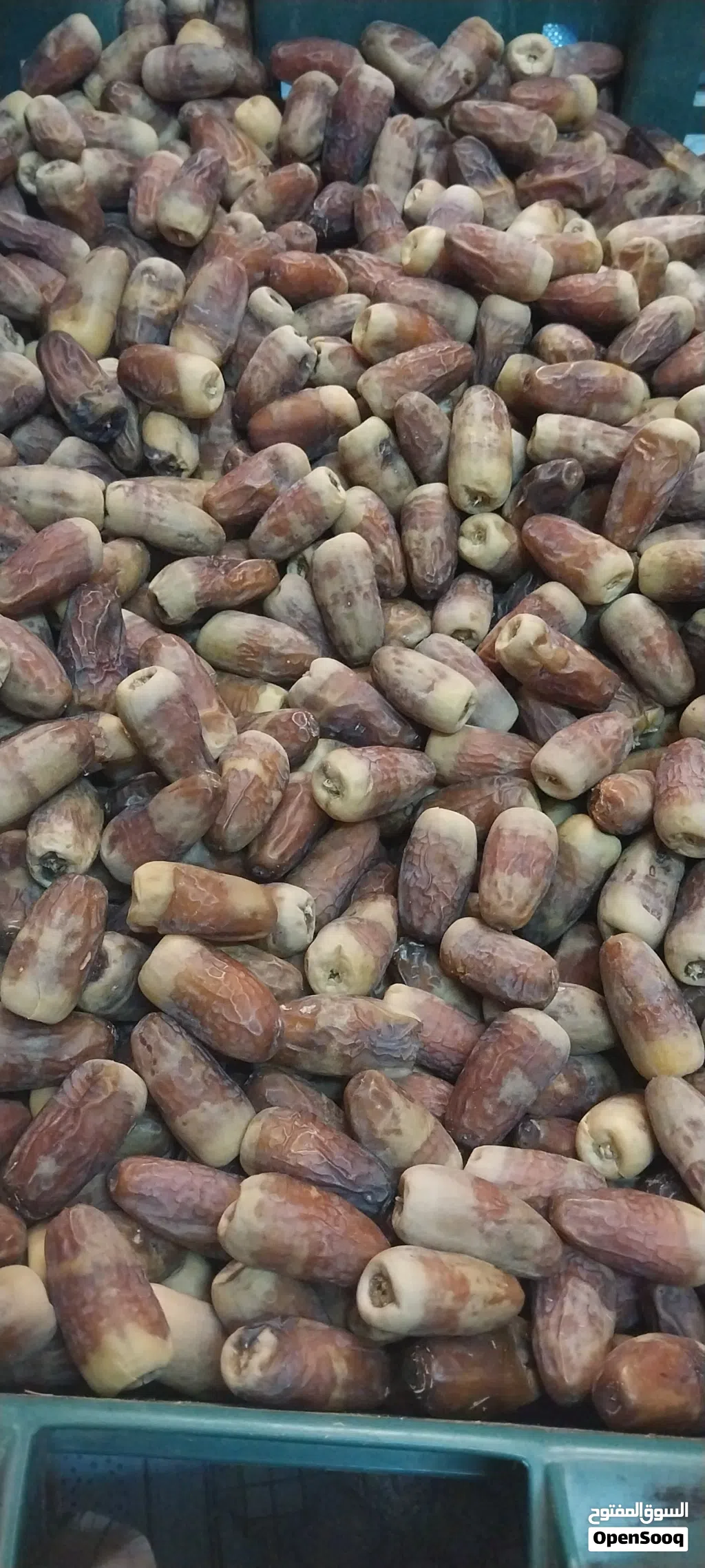 تمر نغال جريجرو للبيع