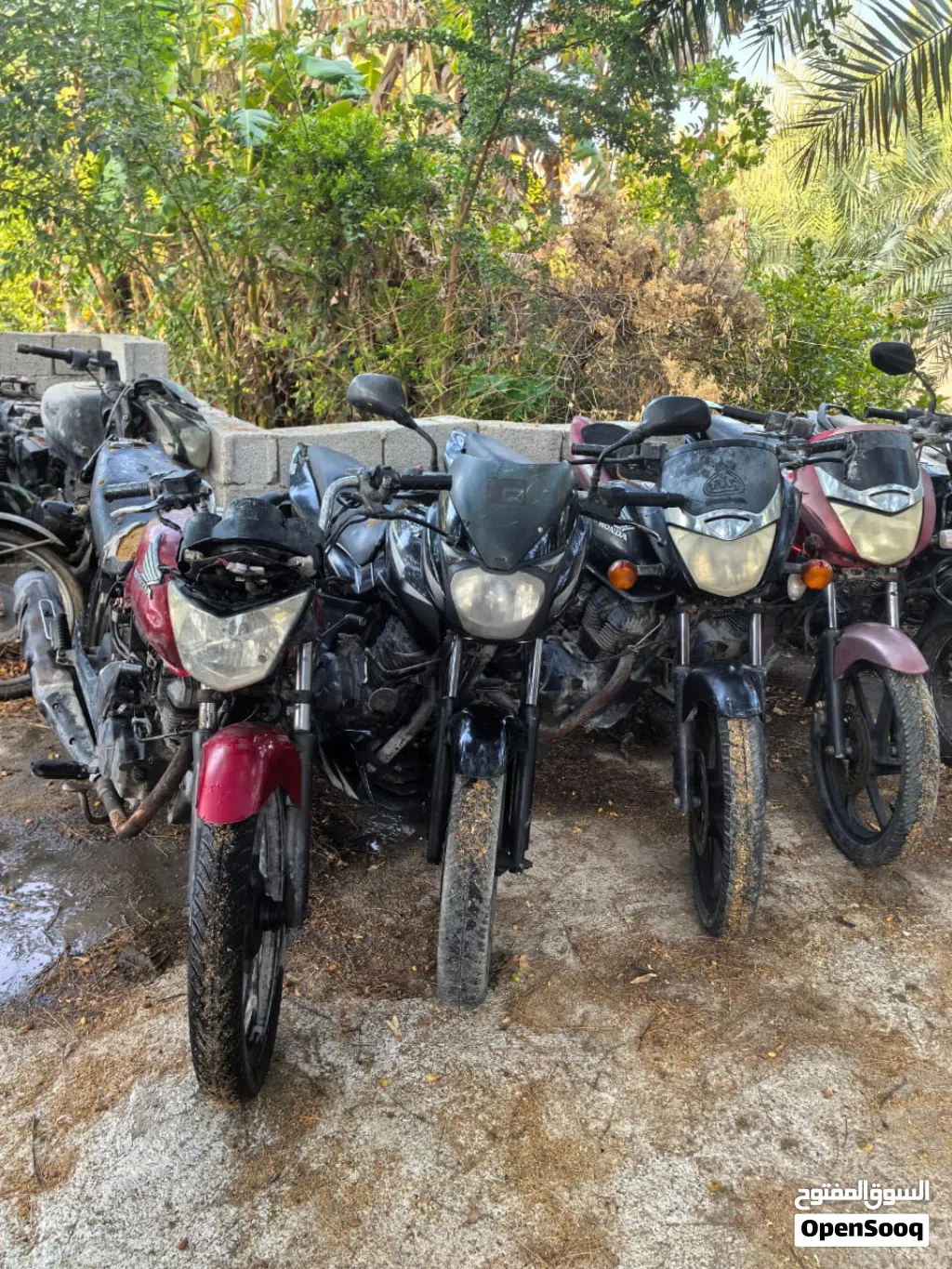 Honda Unicorn
