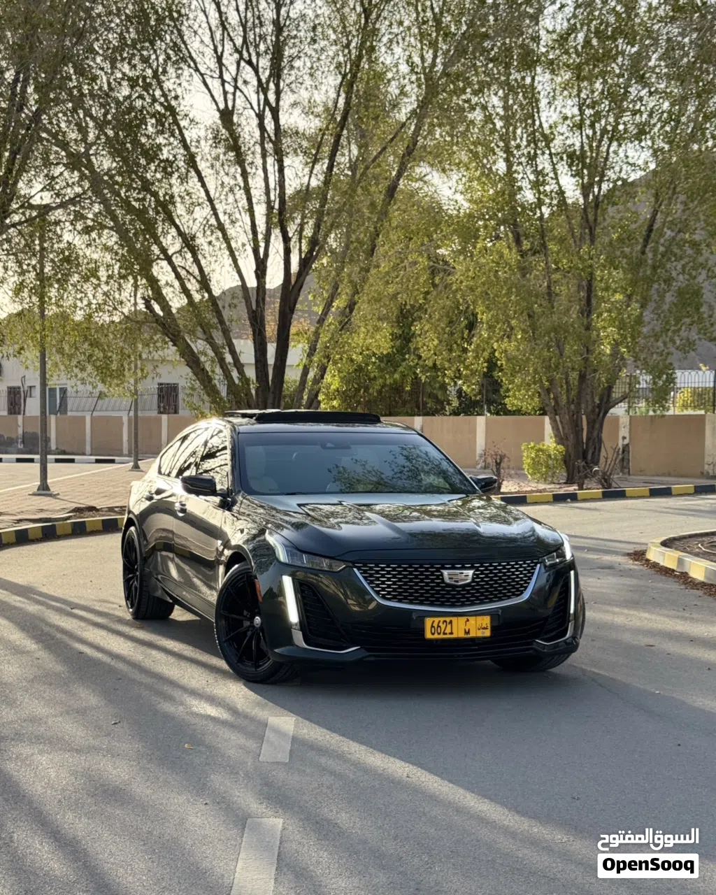 كاديلاك CT5 Premium Luxury