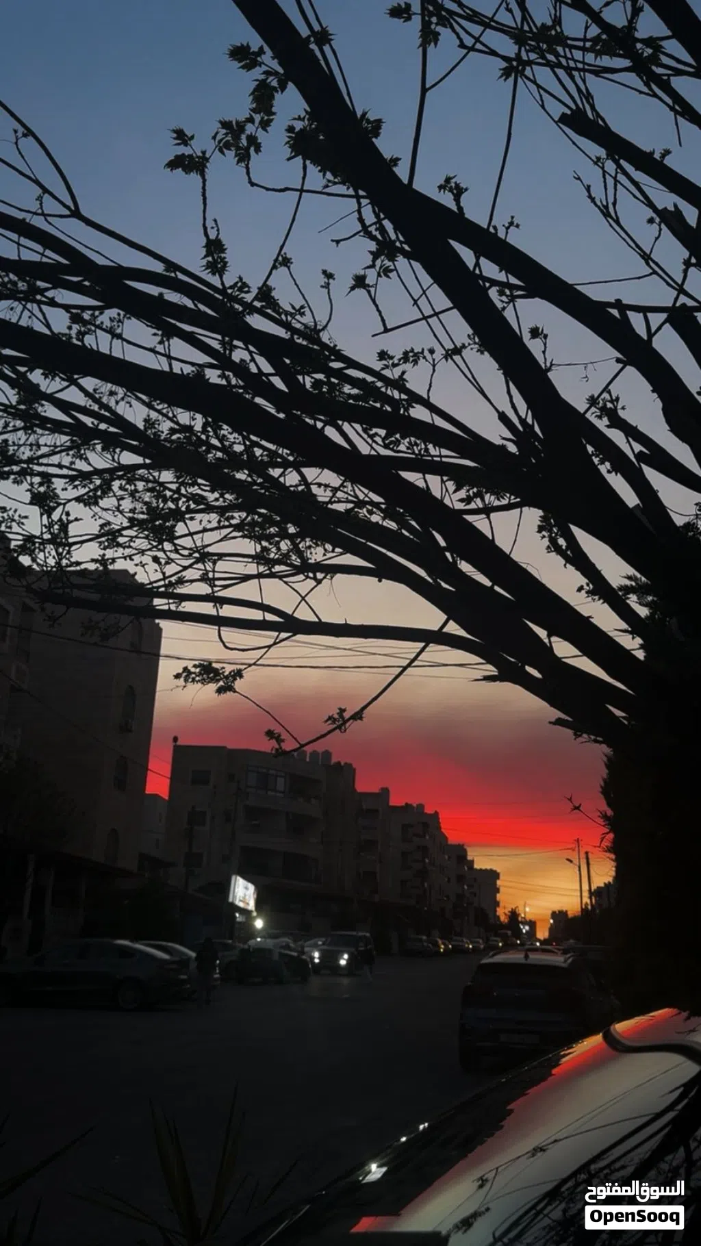 خزانه شباب ماليزي