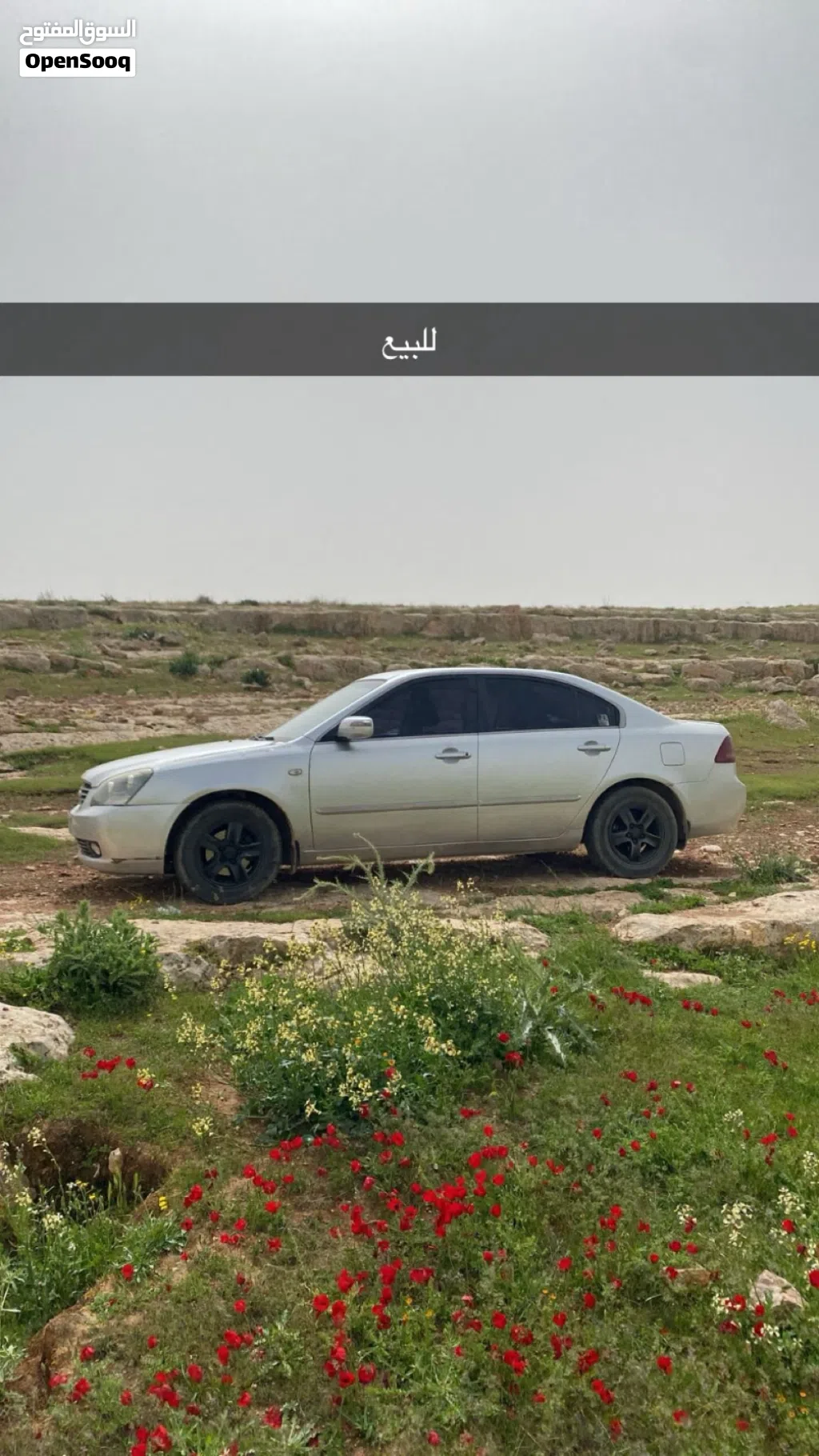 Kia Lotze