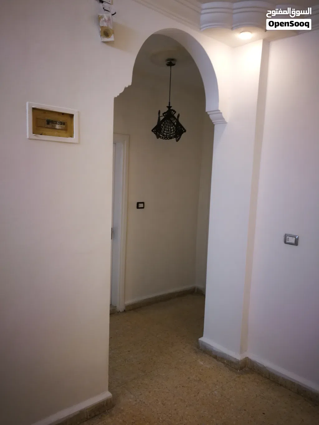شقه للإيجار حي شبيب